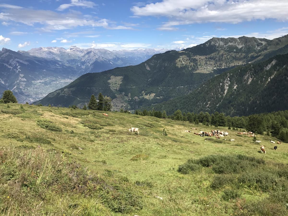Chalet Clochette 4 Valles-Verbier La Tzoumaz Exterior foto